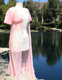 Pink Lace Sheer Full Length Nighty