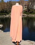 Peach Sheer Dress With Cape