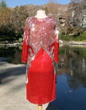 Red Sparkle Indian Made Silk Lining Dress