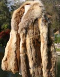 Fur Brown Light Patches Quarter Length