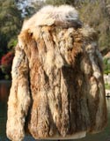 Fur Brown Light Patches Quarter Length